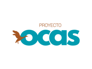 logo-ocas-Fundación-CESTE-png-600x450